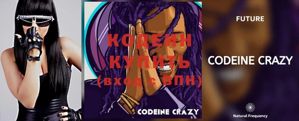 ECSTASY Бородино