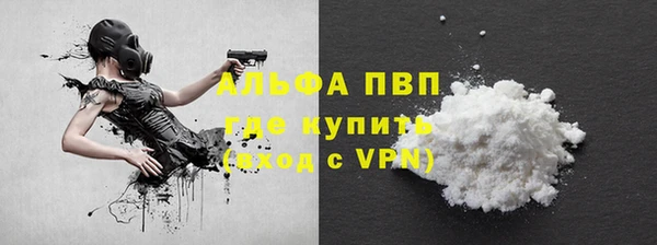 ECSTASY Бородино