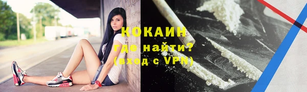 ECSTASY Бородино
