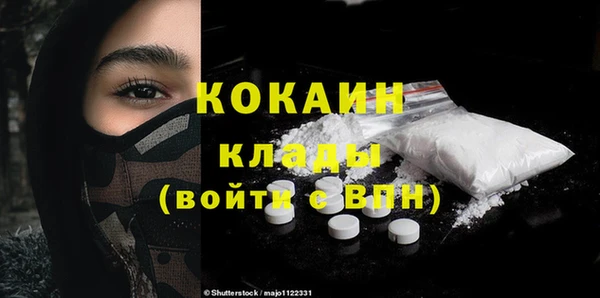 ECSTASY Бородино