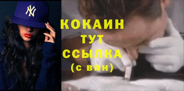 ECSTASY Бородино