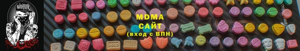 ECSTASY Бородино