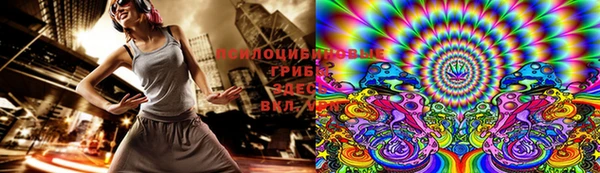ECSTASY Бородино