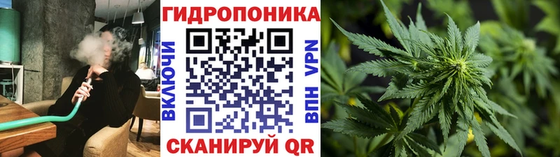 Каннабис индика  Рузаевка 